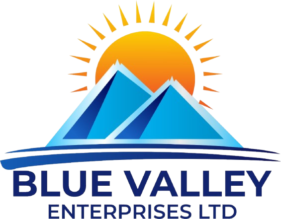 Blue Valley Enterprises Limited